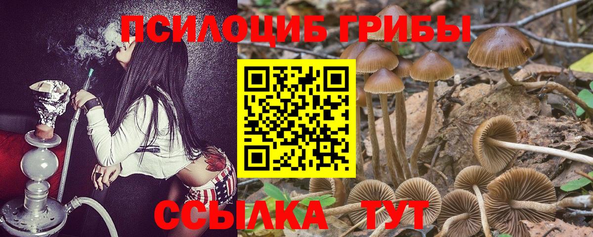 Галлюциногенные грибы Psilocybine cubensis  Вход с VPN  Электросталь 